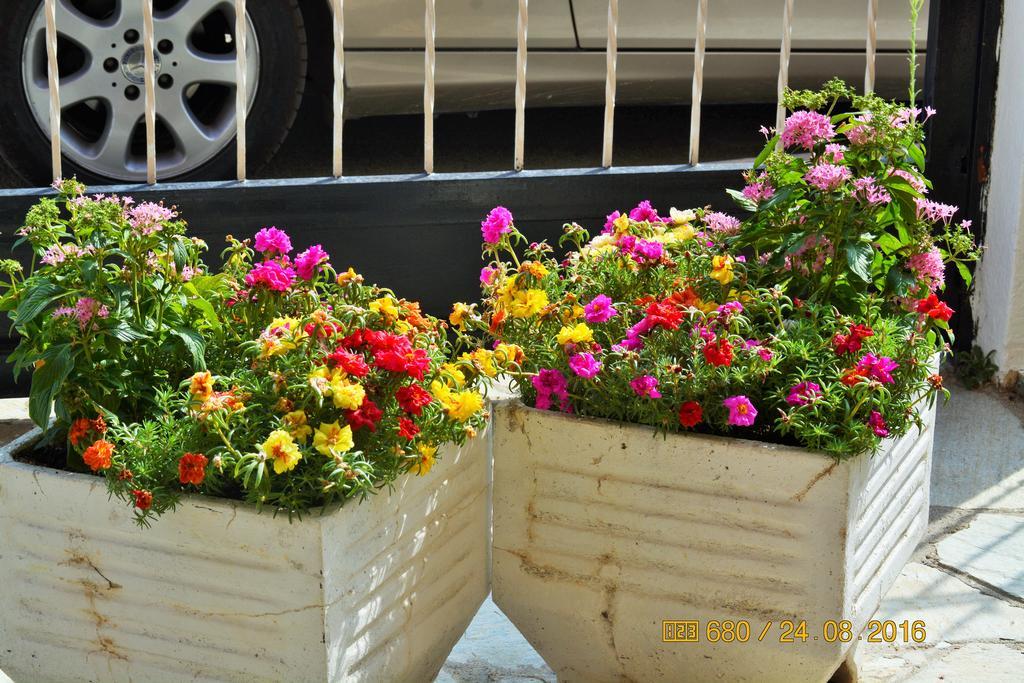 Apartments Dimitra ปาลาเรีย ดิโอนิซีอู ภายนอก รูปภาพ